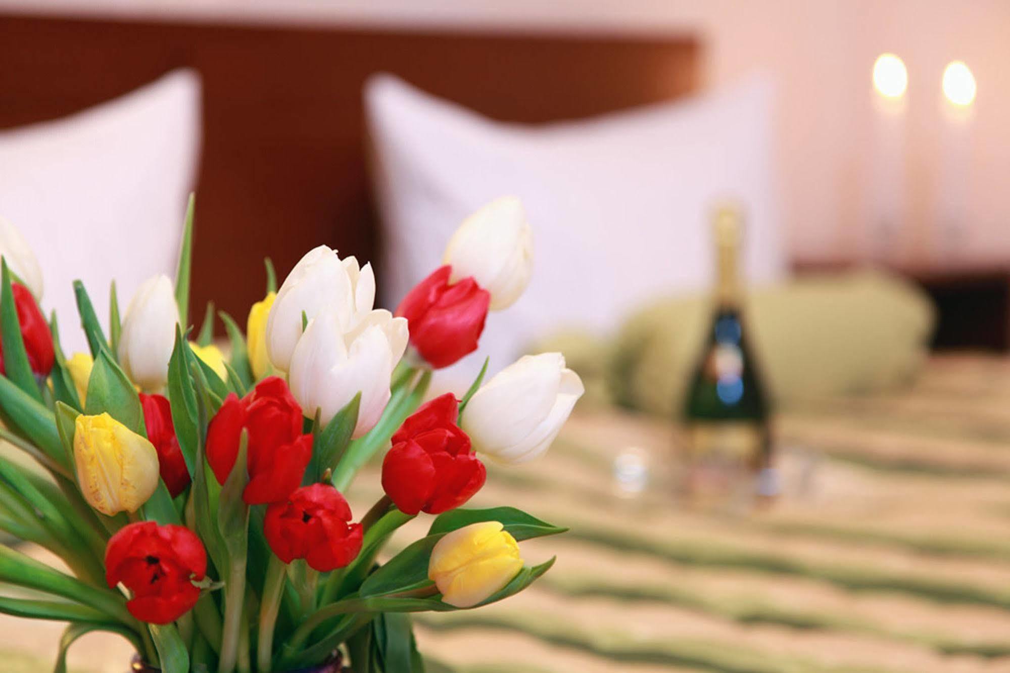 Hotel Central Inn Am Hauptbahnhof Pension Berlin Kültér fotó